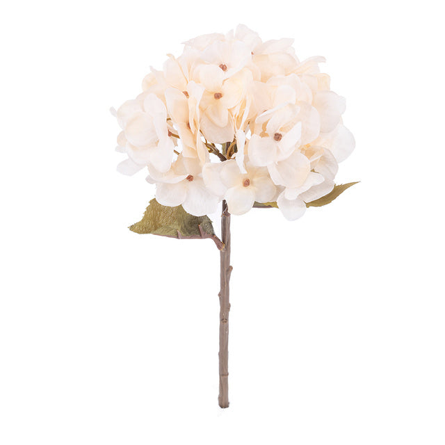 Autumn Hydrangea Flower Branch