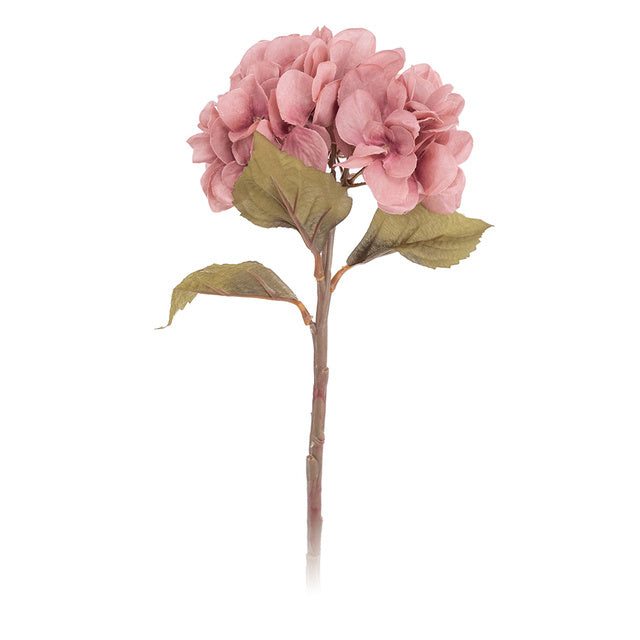 Autumn Hydrangea Flower Branch