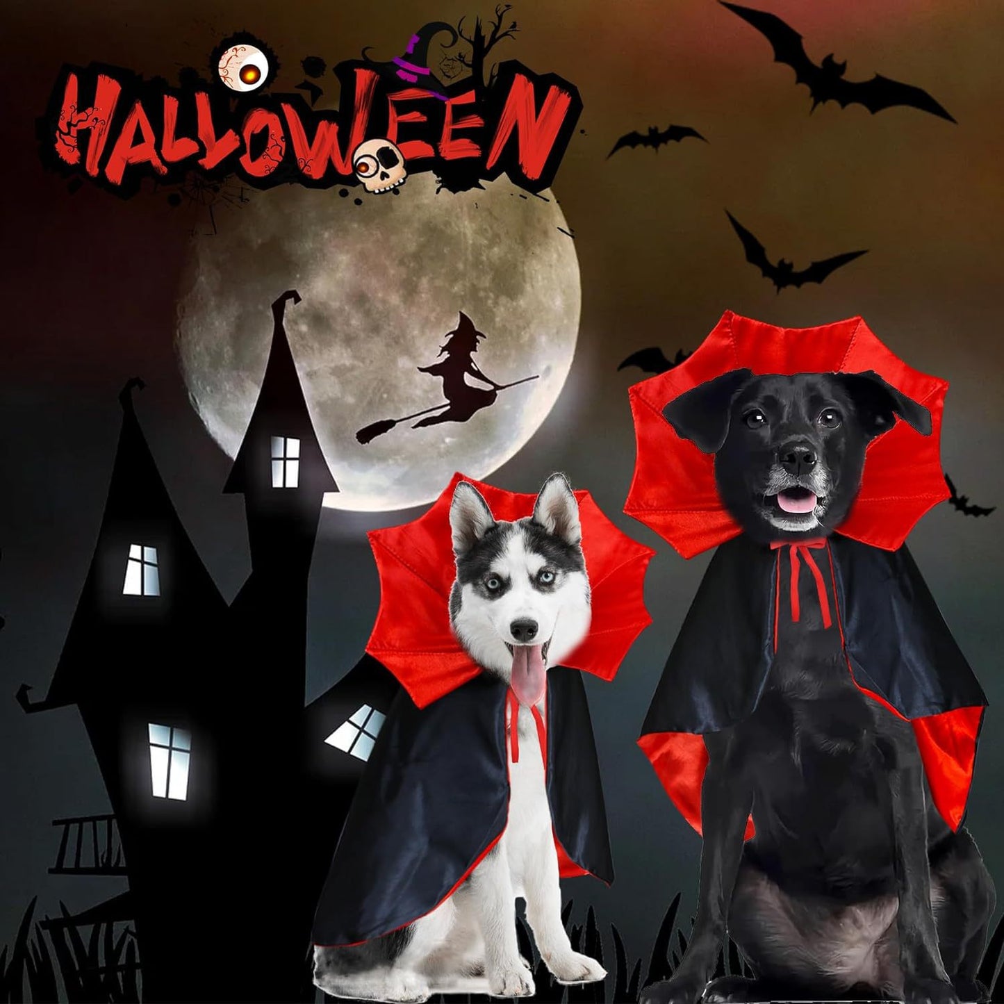 Halloween Pet Bat Costume