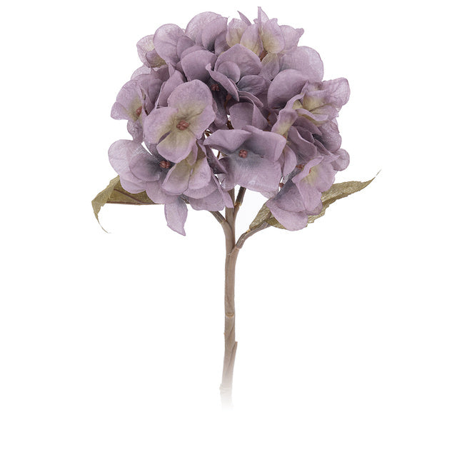 Autumn Hydrangea Flower Branch