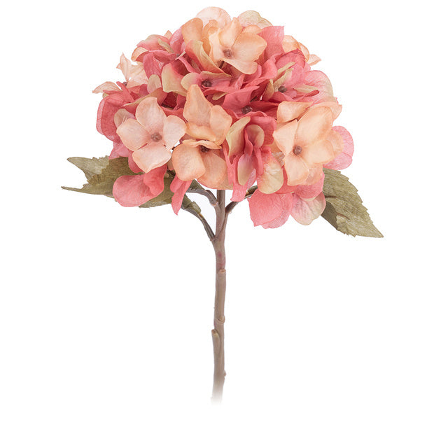 Autumn Hydrangea Flower Branch