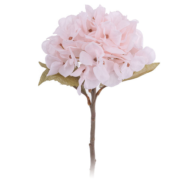 Autumn Hydrangea Flower Branch