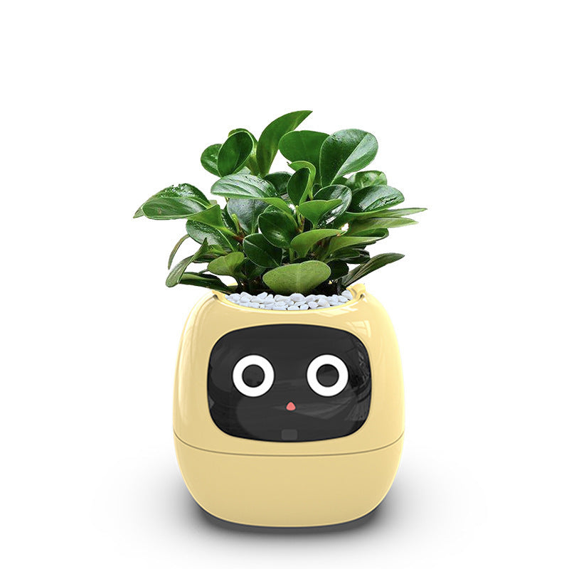 USB Auto-Absorbent Planter – Eco-Friendly PP Resin Round Pot
