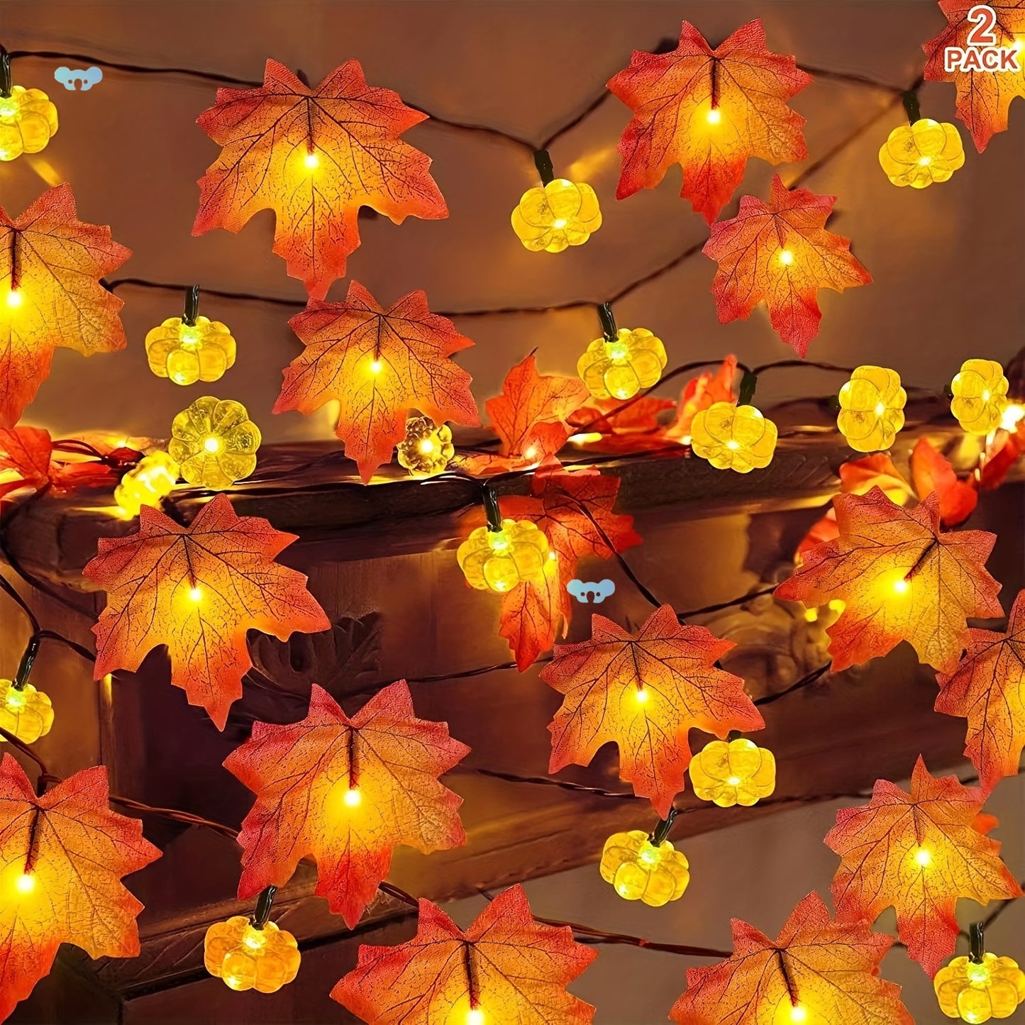 Thanksgiving Autumn Family Lights