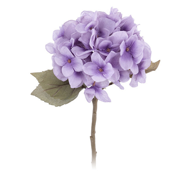 Autumn Hydrangea Flower Branch