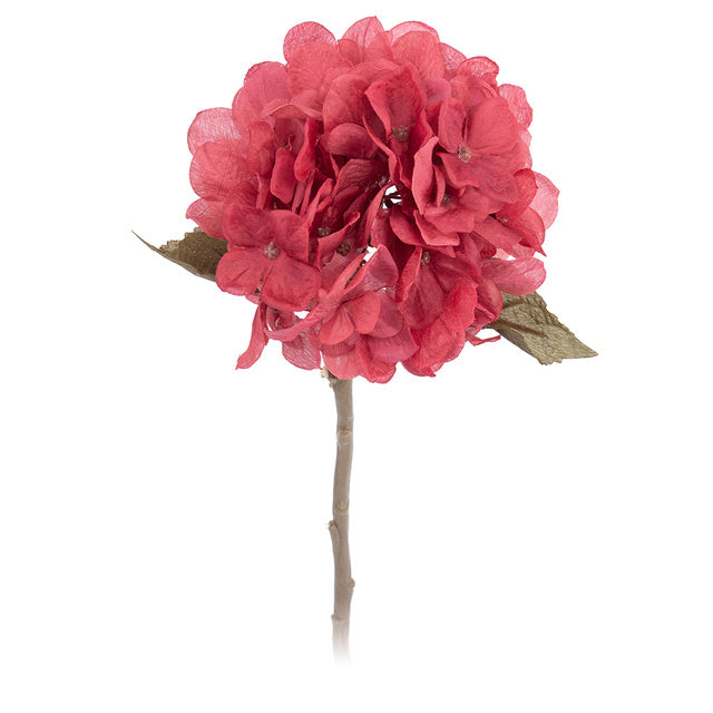 Autumn Hydrangea Flower Branch