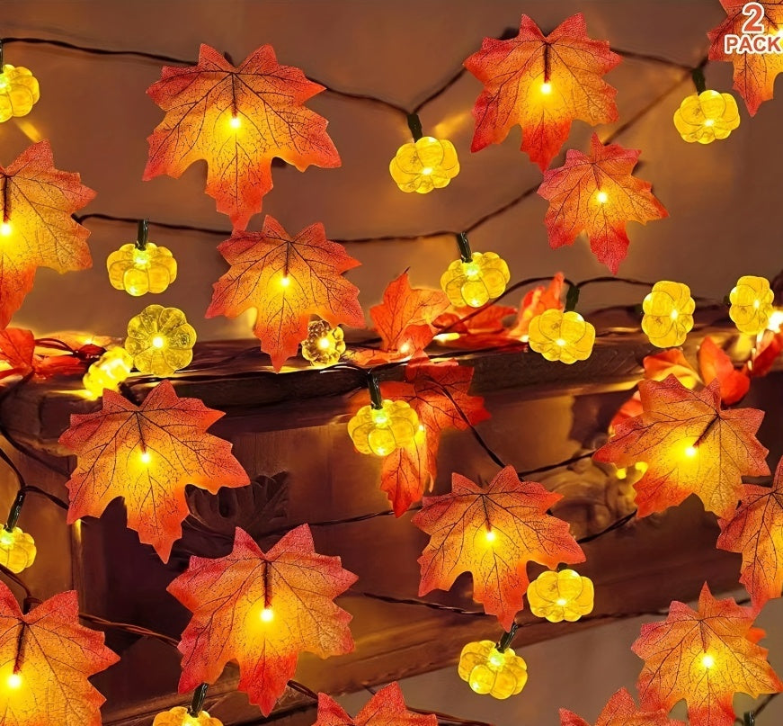 Thanksgiving Autumn Family Lights