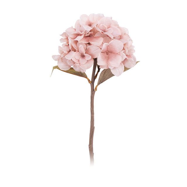 Autumn Hydrangea Flower Branch