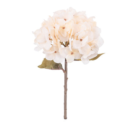 Autumn Hydrangea Flower Branch
