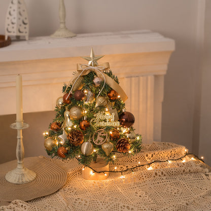 Mini Christmas Tree with Lights