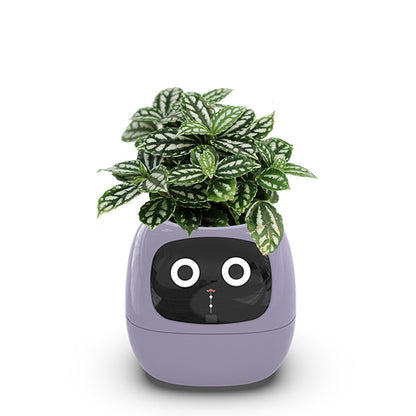 USB Auto-Absorbent Planter – Eco-Friendly PP Resin Round Pot