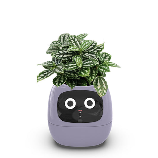USB Auto-Absorbent Planter – Eco-Friendly PP Resin Round Pot