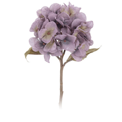 Autumn Hydrangea Flower Branch