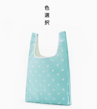 Folding Reusable Shopping Bag