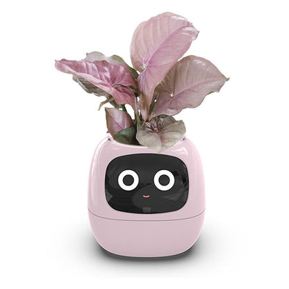 USB Auto-Absorbent Planter – Eco-Friendly PP Resin Round Pot