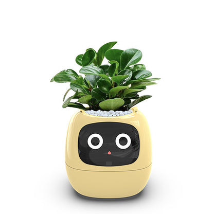 USB Auto-Absorbent Planter – Eco-Friendly PP Resin Round Pot