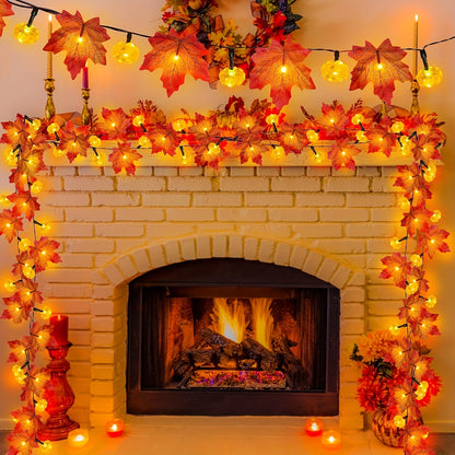 Thanksgiving Autumn Family Lights