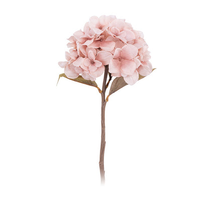 Autumn Hydrangea Flower Branch